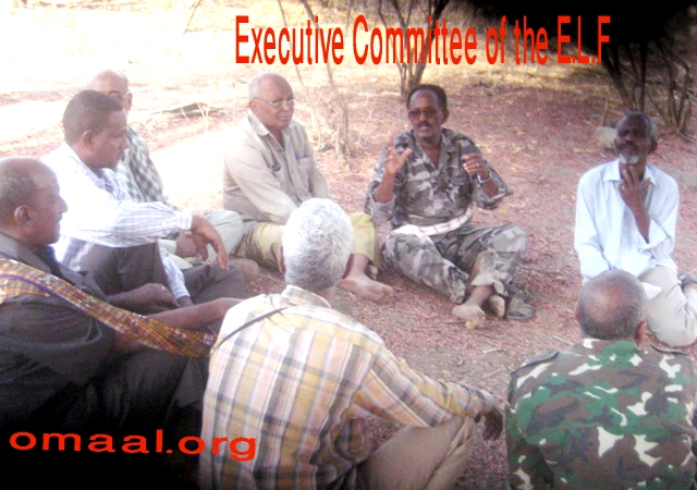 Executive Committee of the E.L.F 27 Mar o13 A.JPG