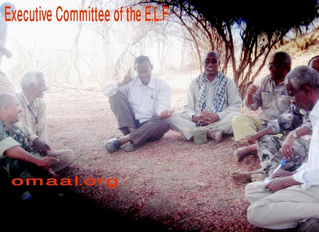 Executive Committee of the E.L.F 27 Mar o13 B.JPG